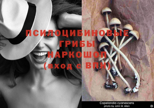 кокс Володарск